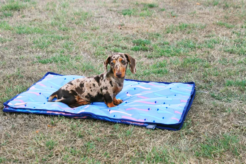 Benji and Flo Dorris The Dachshund Dog Bed - Riviera/Navy-4